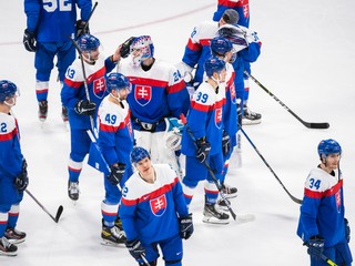 Slovenskí hokejisti.