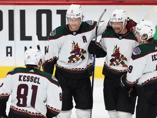 Arizona Coyotes.