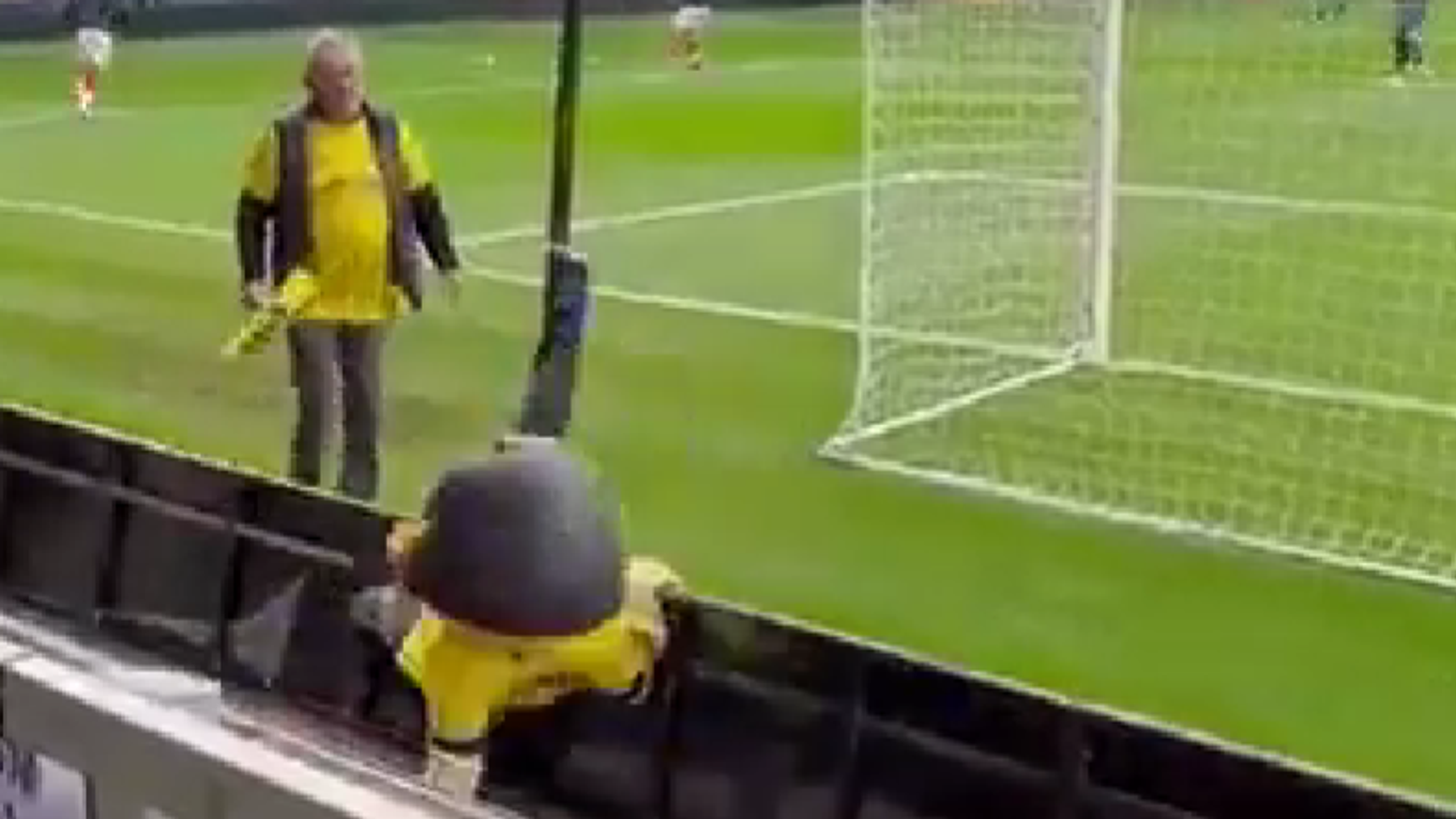 Maskot Sunderlandu v zápase FC Cupu.