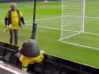 Maskot Sunderlandu v zápase FC Cupu.