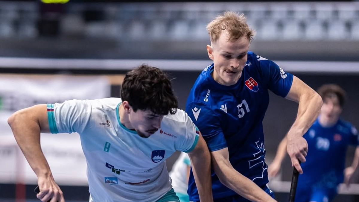 Momentka z prípravného zápasu Slovensko - Slovinsko.