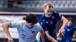 Momentka z prípravného zápasu Slovensko - Slovinsko.