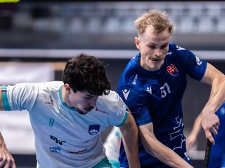 Momentka z prípravného zápasu Slovensko - Slovinsko.