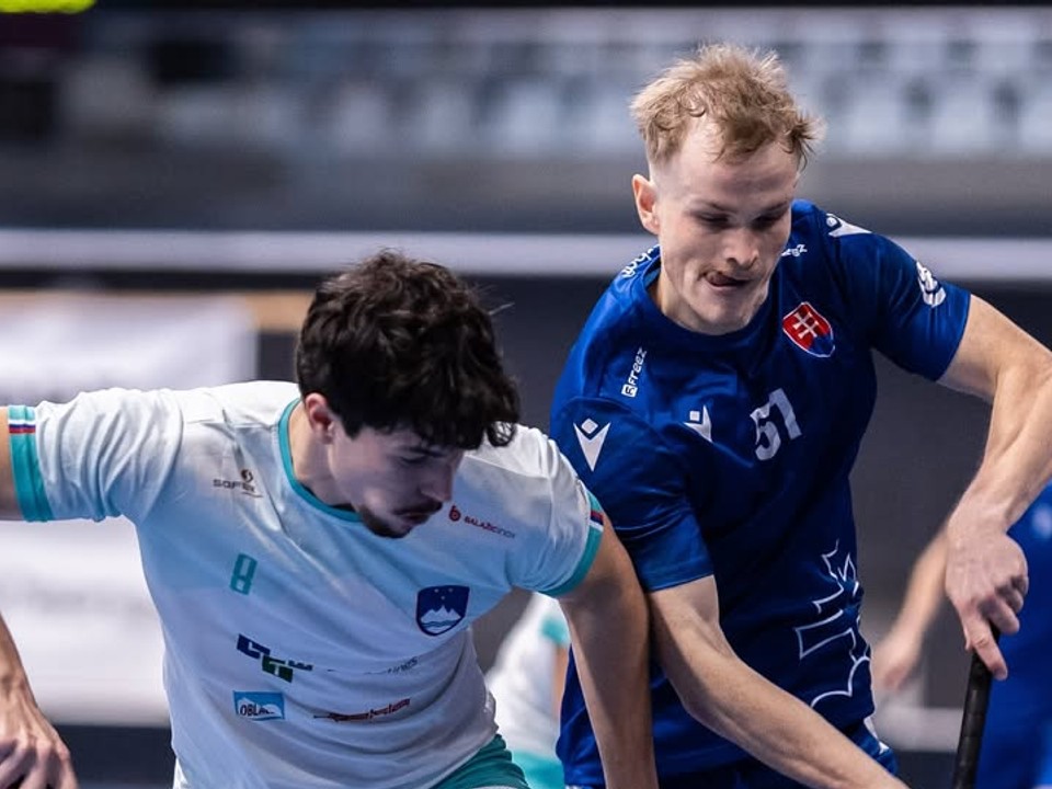 Momentka z prípravného zápasu Slovensko - Slovinsko.