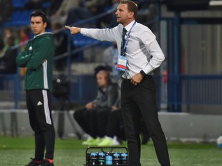 Ian Baraclough už nie je trénerom Severného Írska .