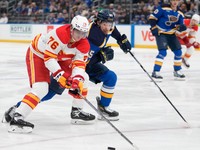 Martin Pospíšil (Calgary) v zápase proti St. Louis.