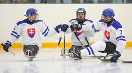 Slovenskí reprezentanti v parahokeji.