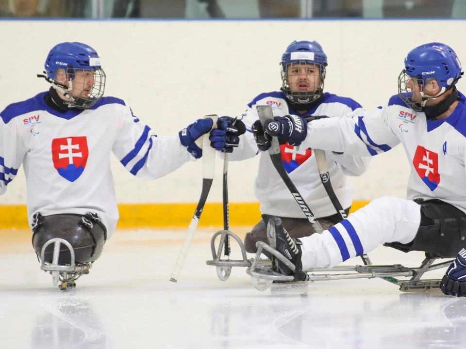 Slovenskí reprezentanti v parahokeji. 