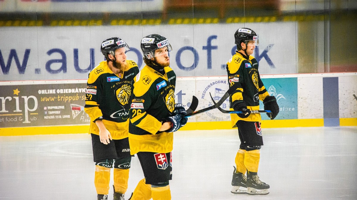 Hráči HK Levice.