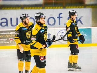Hráči HK Levice.