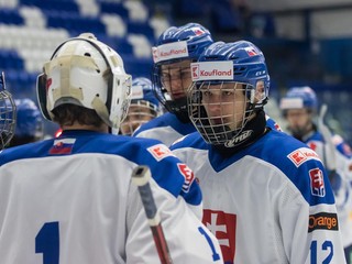 Slovenskí hokejisti do 17 rokov.