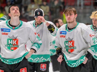 Hráči HK Skalica