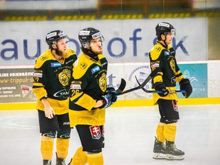 Hráči HK Levice.