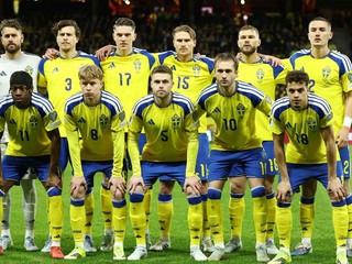 Futbalisti Švédska.