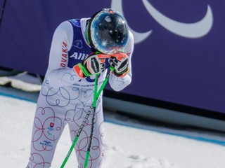 Miroslav Haraus na ZPH 2026