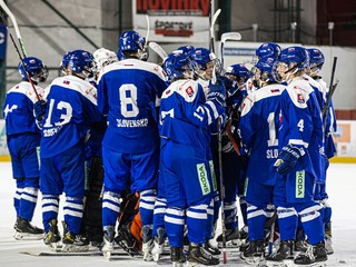 Slovenskí hokejisti