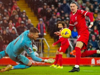 Martin Dúbravka v zápase Liverpool FC - Newcastle United.