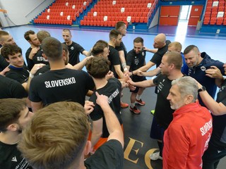 Slovenskí hádzanári.