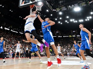 Vít Krejčí (Česko) a Nikola Jokič (Srbsko) v súboji o loptu.
