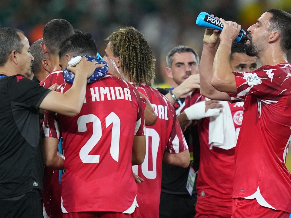 Futbalisti Tuniska počas hydratačnej pauzy v zápase základnej F-skupiny Švédsko - Tunisko.