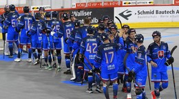 Slovenskí reprezentanti na MS v hokejbale 2024.