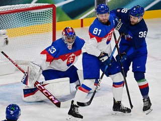 Brankár Stanislav Škorvánek v zápase Slovensko - Taliansko.