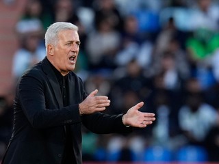 Vladimir Petkovič. 