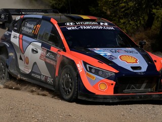 Belgický jazdec Thierry Neuville.