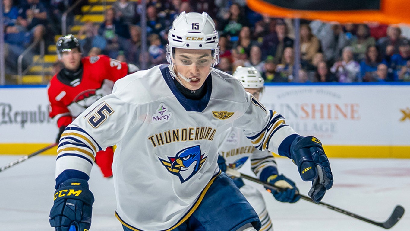 Dalibor Dvorský v drese tímu Springfield Thunderbirds. 