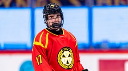 Slovenský útočník Michal Svrček v drese Brynäs IF. 