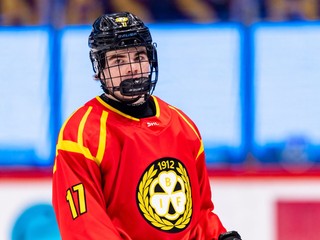 Slovenský útočník Michal Svrček v drese Brynäs IF. 
