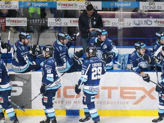 Gólová radosť hráčov Nitry počas zápasu hokejovej Tipsport ligy.