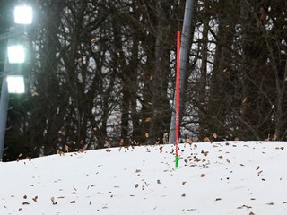 Lístie na svahu v Záhrebe.