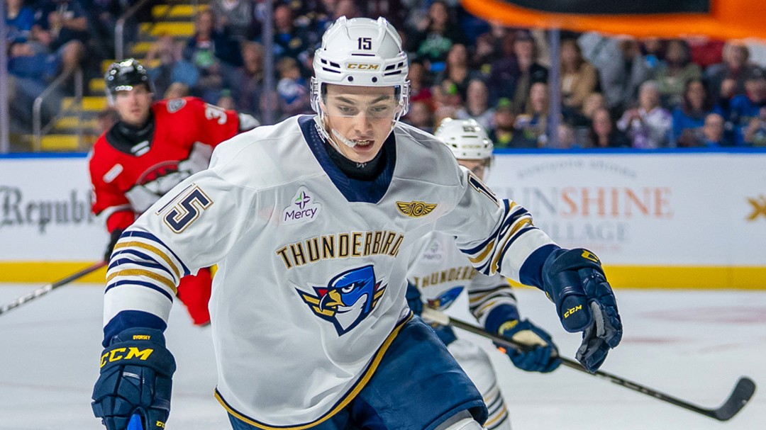 Na farme hrá 11 Slovákov, všetci majú rovnaký cieľ. Aká je šanca, že sa predstavia v NHL?