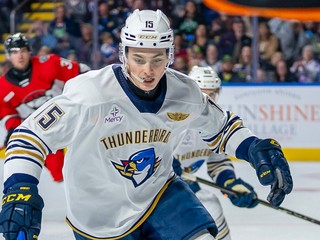 Dalibor Dvorský v drese tímu Springfield Thunderbirds. 