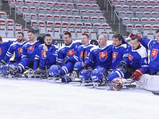 Slovenskí parahokejisti