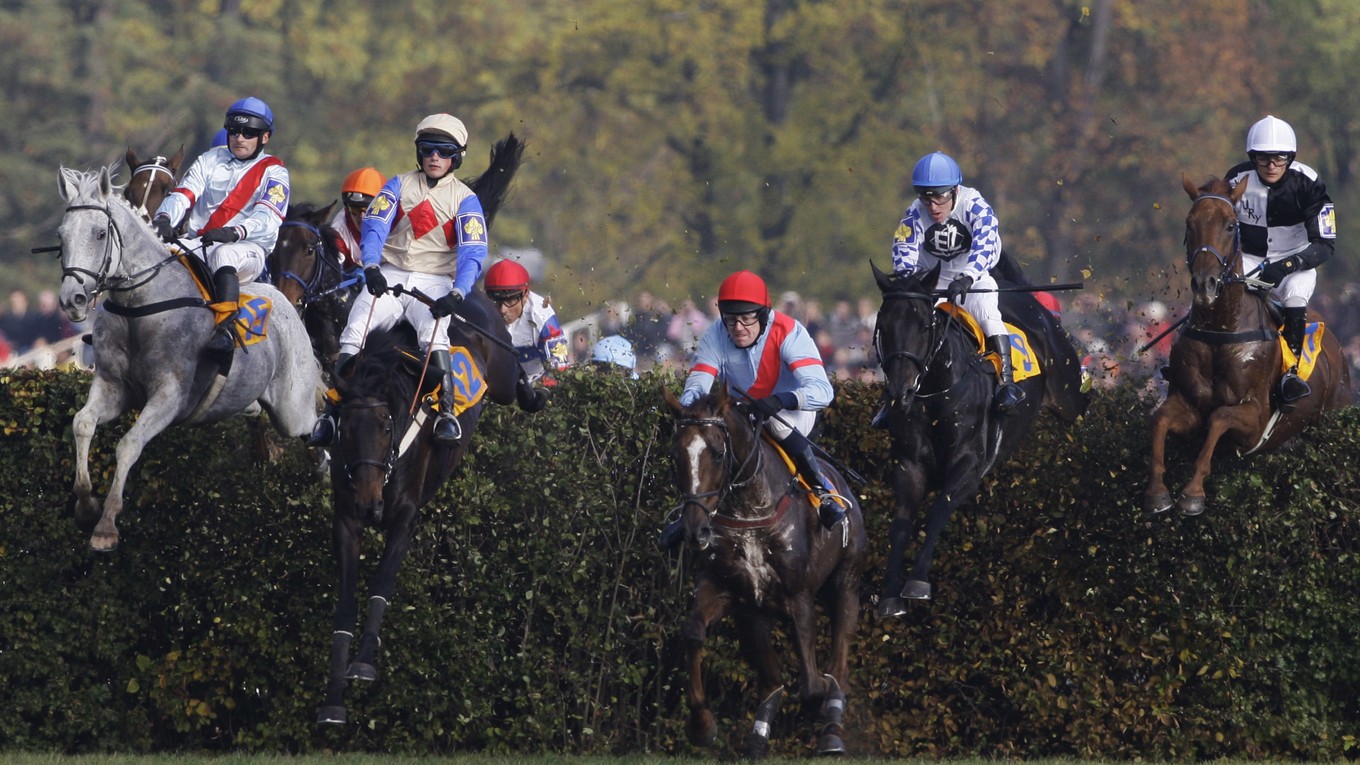 Velká Pardubická - ilustračná fotografia. 