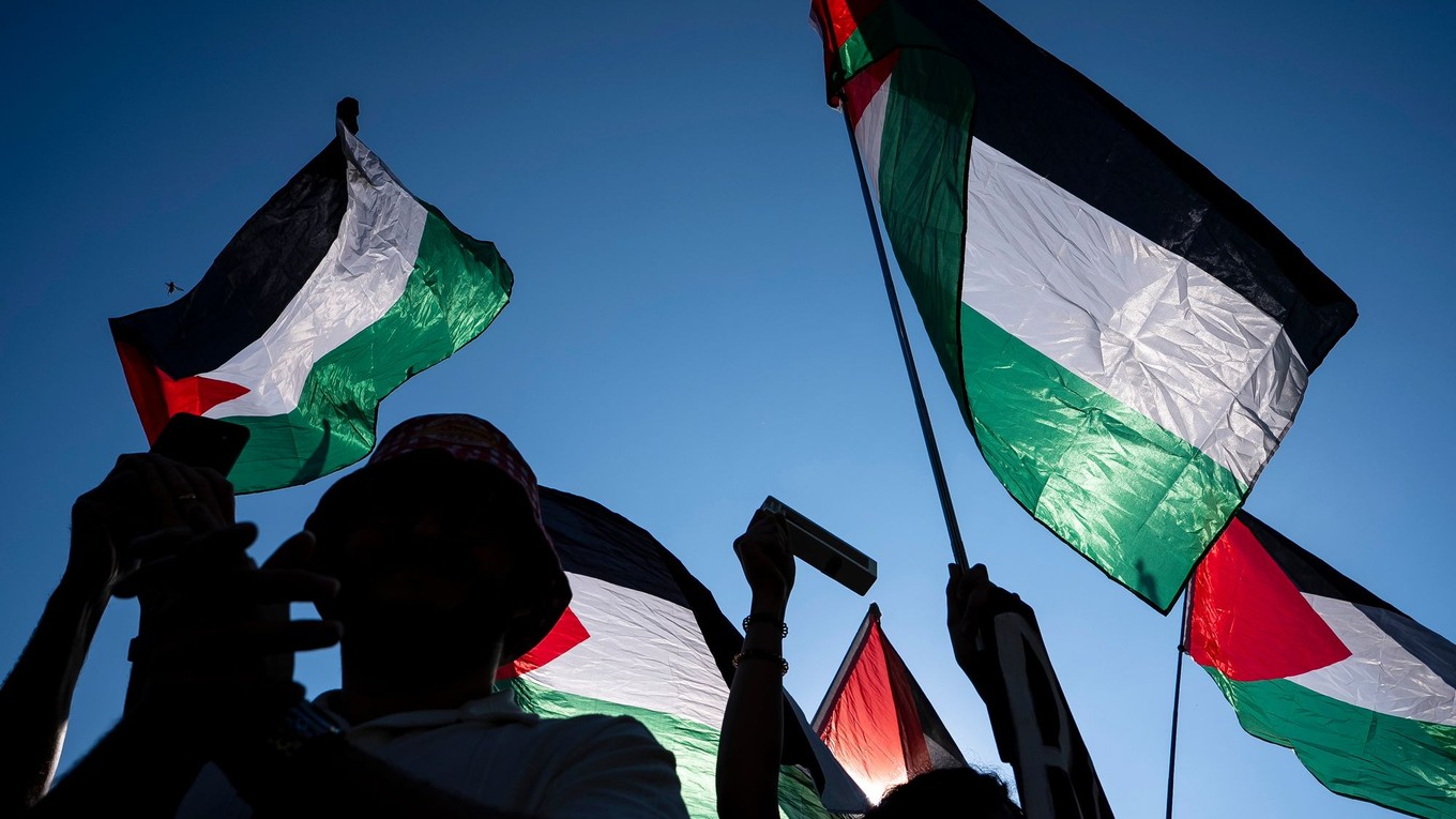 Propalestínski demonštranti.