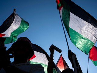 Propalestínski demonštranti.