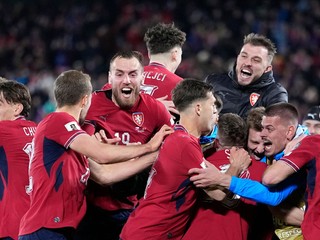 Futbalisti Česka.