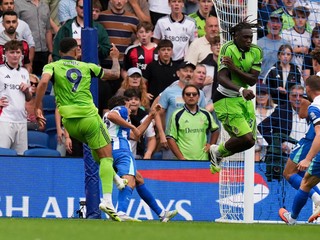 Fotka zo zápasu Brighton - Fulham.