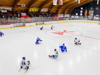 Parahokej na zimnom štadióne v Dolnom Kubíne