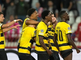 Young Boys Bern. 