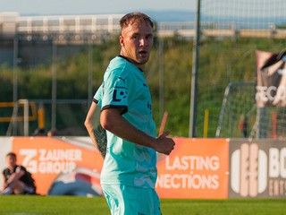 Dominik Javorček