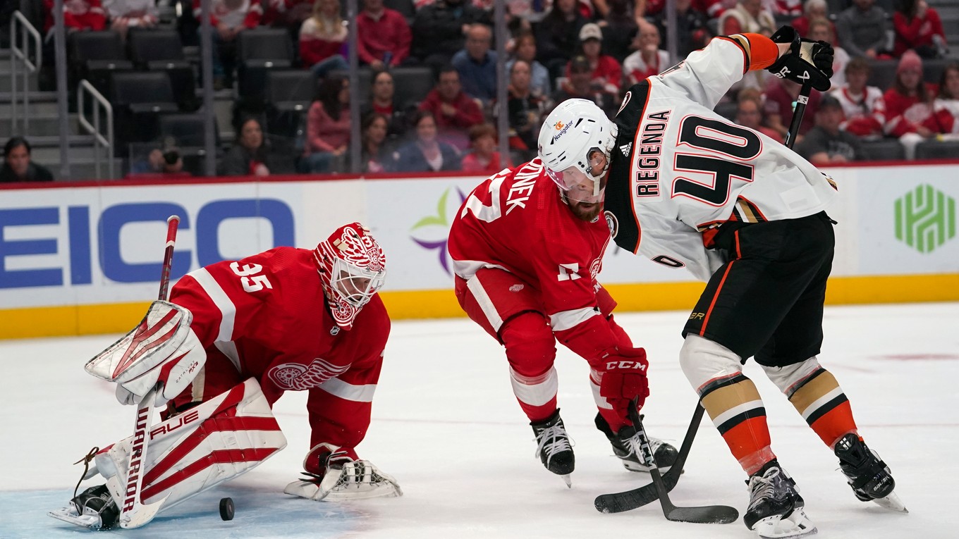 Anaheim Ducks - Detroit Red Wings: ONLINE prenos zo zápasu NHL, hrá aj Pavol Regenda.