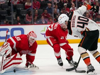 Anaheim Ducks - Detroit Red Wings: ONLINE prenos zo zápasu NHL, hrá aj Pavol Regenda.