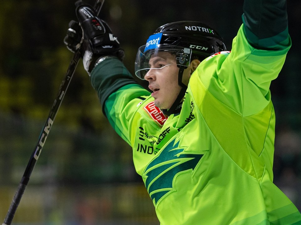 Kamil Walega