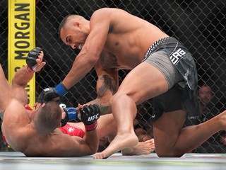 Carlos Ulberg konokautuje Procházku.