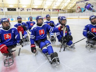 Slovenskí parahokejisti.