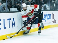 Aaron Ekblad v drese Floridy